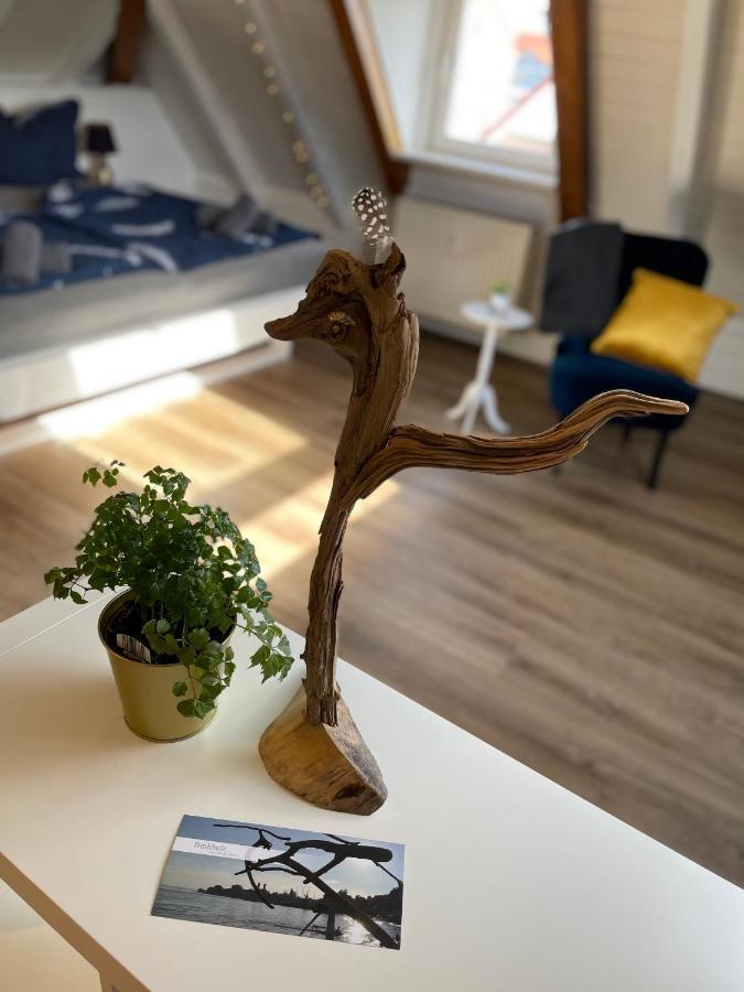 Ferienwohnung Schneider FDH Zewnętrze zdjęcie
